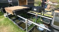 熊本地震で被災のメダカ店　断水続き再開のめど立たず　2万匹超が300匹に　地下水で飼育継続　宇城市