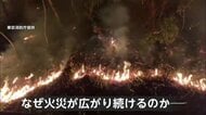 「土中の火種が再燃」岩手・大船渡市の山火事　焼失範囲“2600ha”に…15日連続“乾燥注意報”も5日は雪・雨の予報