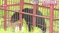 宮城県内の５月クマ目撃が過去最多３００件 去年の２.７倍に急増　仙台でも緊急銃猟
