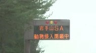 東北自動車道岩手山SAでクマ目撃　入り口を一時閉鎖　防犯カメラにクマの姿　岩手県八幡平市