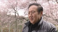 ふくしまサクラの守り人《４》　アマチュアカメラマン・戸井田楽桜さん　一本桜の美しさ　福島を訪れるきっかけに