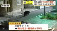 クマ被害の７割超が東北・新潟に集中　国と地方が初の広域連携　６月３日に宮城県庁で対策会議を開催