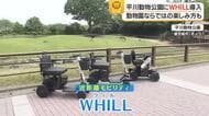 WHILL導入　平川動物公園で「動物と目が合う」近距離電動乗り物を実証運用