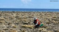 フィリピン大地震で海底2m隆起　魚や貝の大量死も　ミンダナオ島南部の海岸はサンゴ礁“むき出し”　能登半島地震と同様の現象