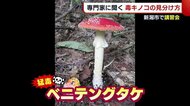 専門家に聞く“毒キノコ”の見分け方 「昔の記憶を信じるのは危険!」 新潟市で講習会