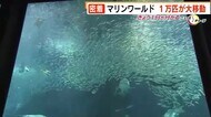 1万匹のイワシ大移動 静岡からマリンワールドへ デリケートなため慎重に… 21日から一般公開 福岡市