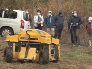 人気の「栗きんとん」も地元産は2-3割...高齢化進む岐阜の栗園で『スマート農業』実験 収穫量増に期待