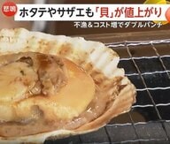ホタテやサザエも「貝」が2倍に値上がり　不漁&配送コストの“ダブルパンチ”　専門店悲鳴…値上げや仕入れ産地変更も