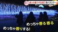 達人技で魅了倍増！冬の人気バスツアー【しらべてみたら】