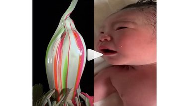 赤ちゃんの産声が“生け花”に…神秘的なアートはどんな仕組み?制作者に聞いた
