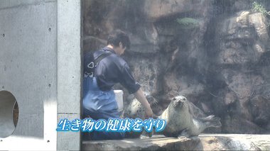 震災で9割以上の生き物が犠牲になった水族館 再度襲った困難に負けず健康を守る獣医の思い