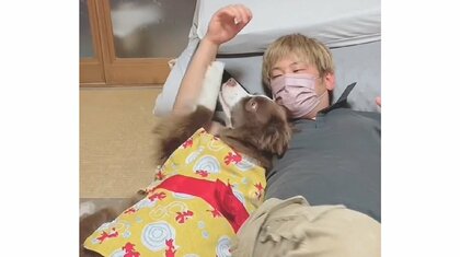 まるで“甘えん坊の彼女”? 寝返りを阻止するほど「腕枕」が大好きな犬がかわいい…関係性を飼い主に聞いた