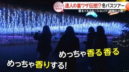 達人技で魅了倍増！冬の人気バスツアー【しらべてみたら】