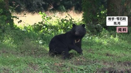 クマ被害の死者数7人で過去最多に…秋田では男女6人が襲われ住宅に“立てこもり”中　環境省