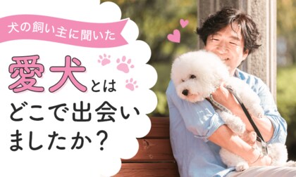 【犬の飼い主に聞いた!】愛犬との出会いは?