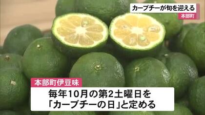 本部町で旬を迎えたカーブチーを味わう　コラボアイスもお披露目