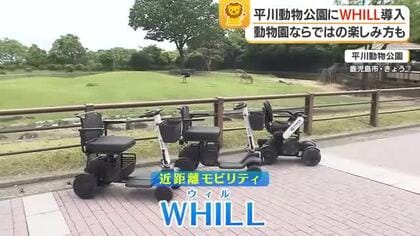 WHILL導入　平川動物公園で「動物と目が合う」近距離電動乗り物を実証運用
