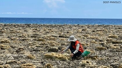 フィリピン大地震で海底2m隆起　魚や貝の大量死も　ミンダナオ島南部の海岸はサンゴ礁“むき出し”　能登半島地震と同様の現象
