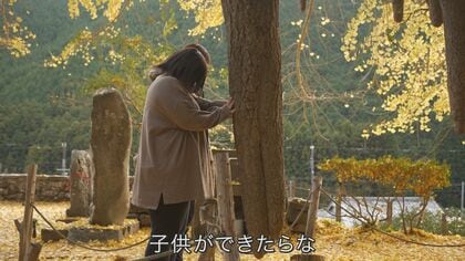 夜の山里に浮かび上がる神秘　樹齢400年超えの「子授けイチョウ」　初のライトアップ　【和歌山発】