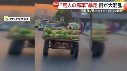 無人の馬車”が暴走で大混乱 車追い越しぶつかりガツガツ突進 男性が