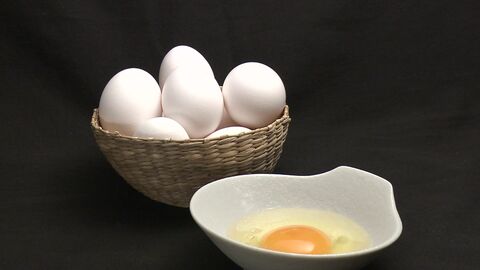 【卵の価格に影響は】“鳥インフルエンザ” 北海道の養鶏場で今季2例目の感染―北海道内の採卵用ニワトリの約12パーセントが殺処分に―札幌市内のスーパーでは価格に変動なし 今後どうなる？