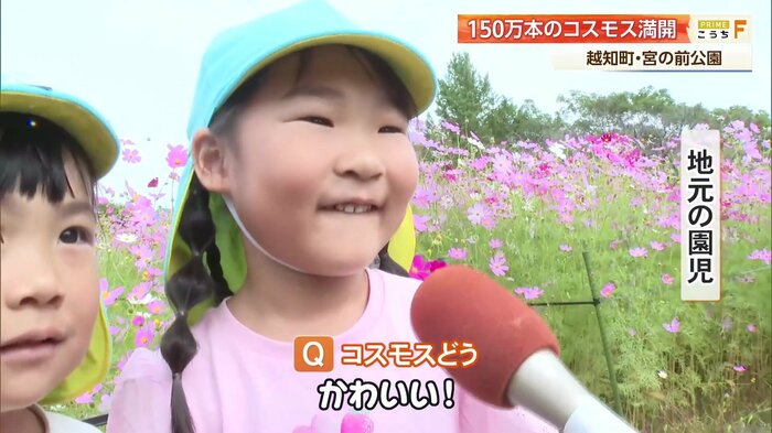 元気いっぱいにインタビューに答える園児
