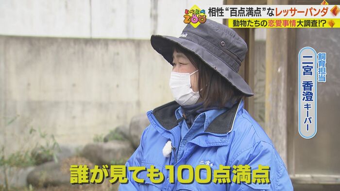 砥々丸とコウメの仲は飼育担当も太鼓判