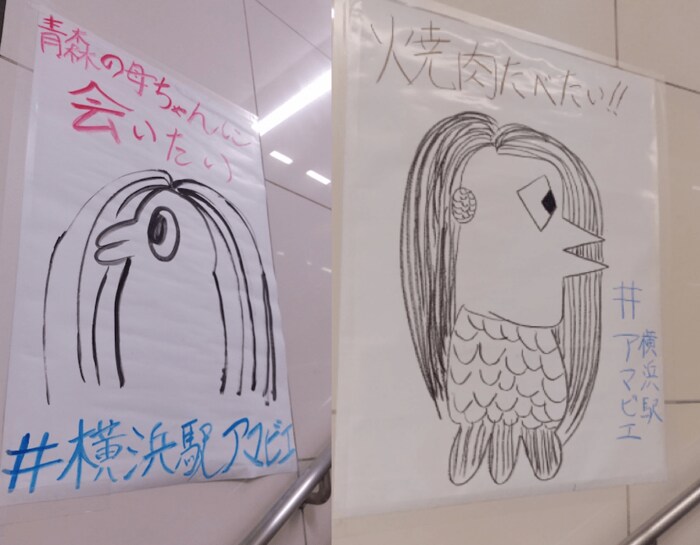 視聴者提供