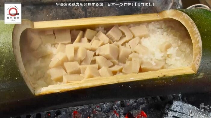 竹筒の飯ごうでタケノコご飯を堪能