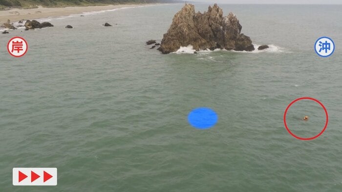 約30秒で、元いた場所(青色)から沖へと流された(撮影:第四管区海上保安本部)