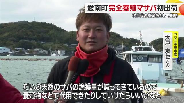 次世代の養殖魚として期待高まる