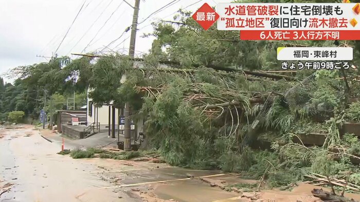 折れた木が道路に突き出すように倒れている