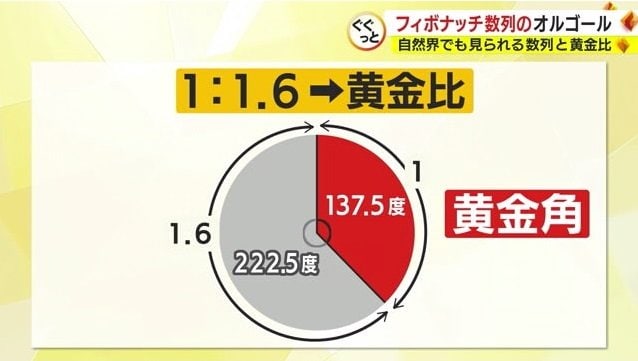 木の枝分かれ