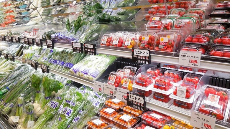 【速報】野菜の高値続く…レタスは平年比54％高　ジャガイモはお買い得　農水省｜FNNプライムオンライン