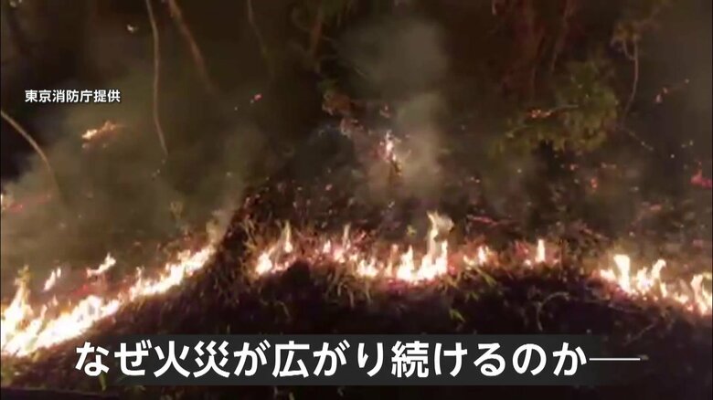 「土中の火種が再燃」岩手・大船渡市の山火事　焼失範囲“2600ha”に…15日連続“乾燥注意報”も5日は雪・雨の予報｜FNNプライムオンライン