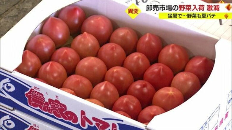 猛暑で野菜も“夏バテ”…卸売市場の野菜入荷量が激減　秋冬野菜の生育・入荷、長期に渡り悪影響のおそれ【山形発】｜FNNプライムオンライン