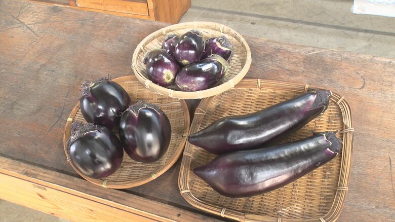 栄養満点！旬迎えた“ナス”で夏バテ対策 十全ナス・丸ナス…それぞれオススメの食べ方は？新潟｜FNNプライムオンライン