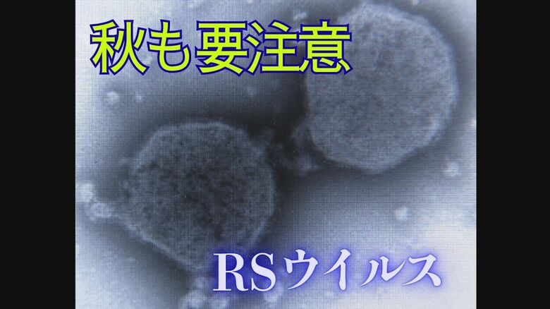 流行期が秋に…RSウイルス感染症　2歳未満の約2～3割が重症化　専門医が警鐘｜FNNプライムオンライン