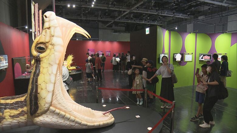 自由研究の題材にも…名古屋市科学館で『毒』に関する特別展 毒を持つキノコや生き物の標本など約200点展示｜FNNプライムオンライン
