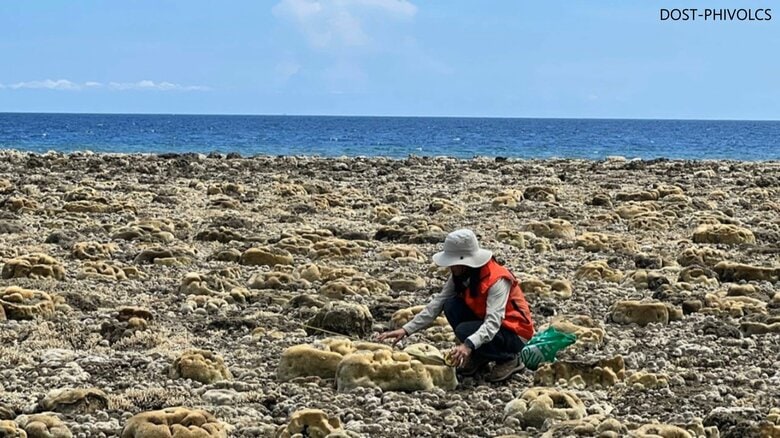 フィリピン大地震で海底2m隆起　魚や貝の大量死も　ミンダナオ島南部の海岸はサンゴ礁“むき出し”　能登半島地震と同様の現象｜FNNプライムオンライン