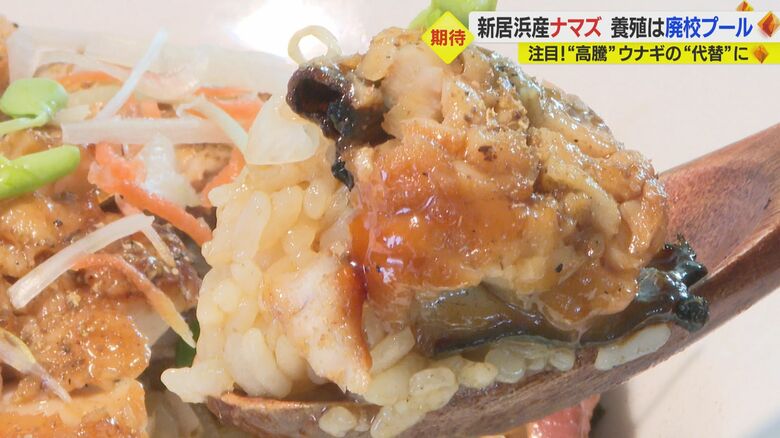 クセがなく食べやすいナマズ