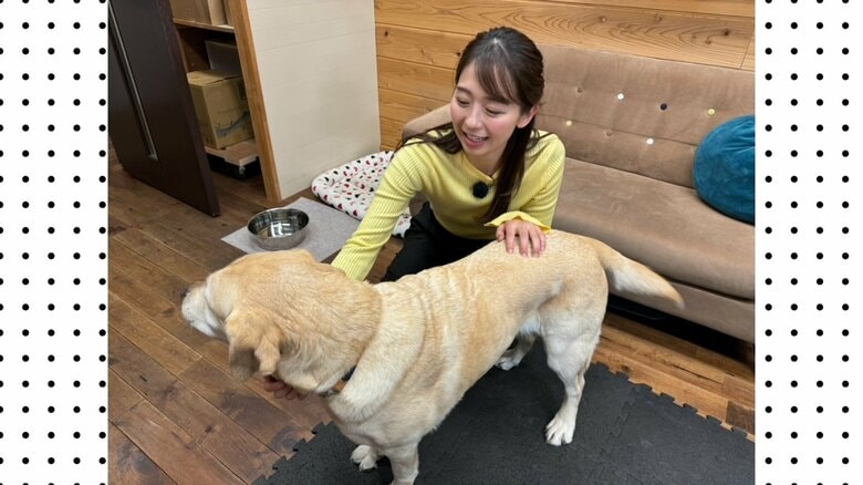 小室瑛莉子アナウンサー、盲導犬・アリエル