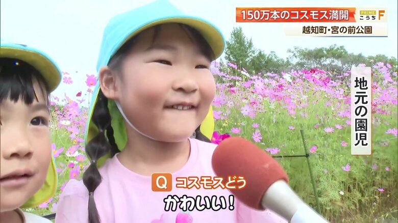 元気いっぱいにインタビューに答える園児