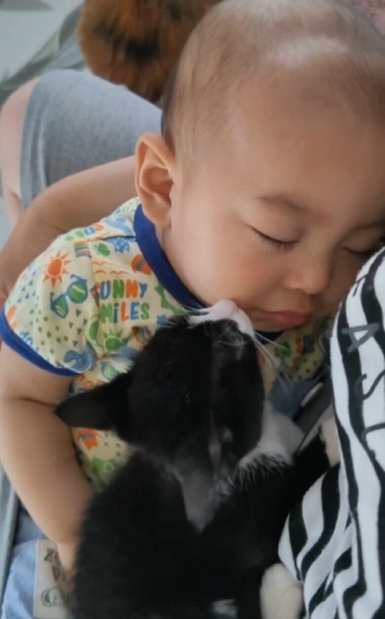 リヴァイくんは蓮慈くんの頬をペロペロ