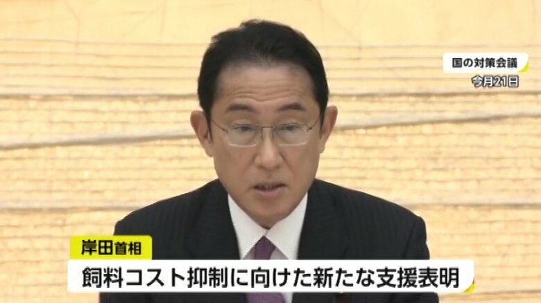 国が支援を表明