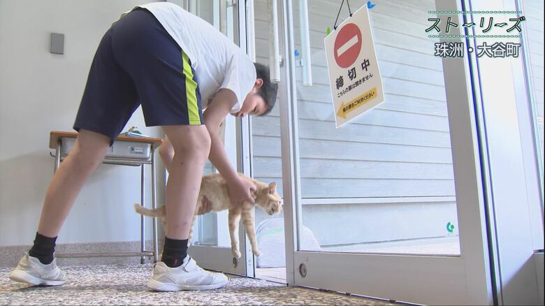 猫を校舎の外にだす川端晃史さん