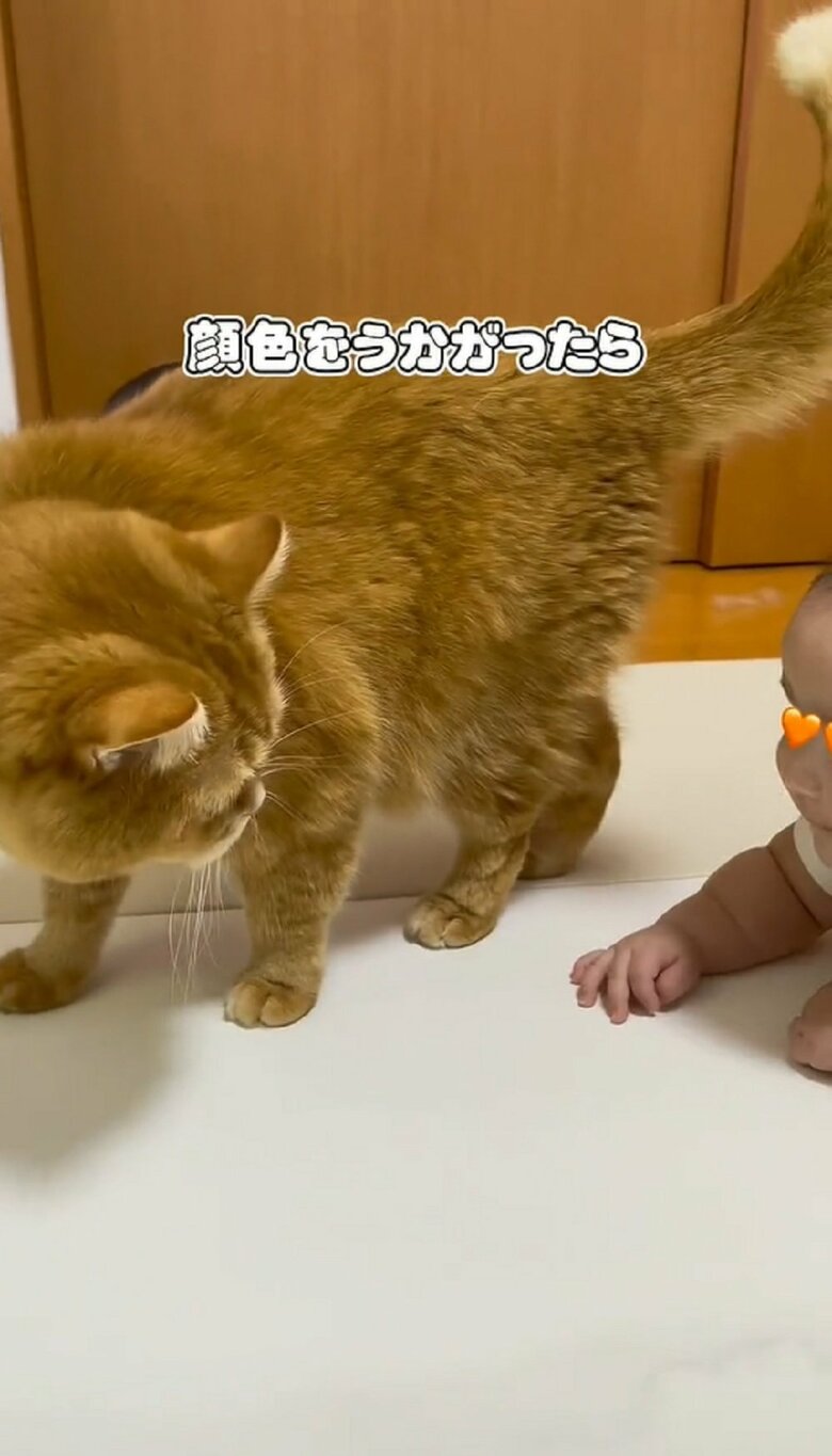 息子さんの顔を見ると…