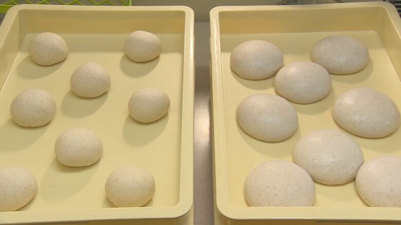 発酵前の生地（左） 発酵後の生地（右）