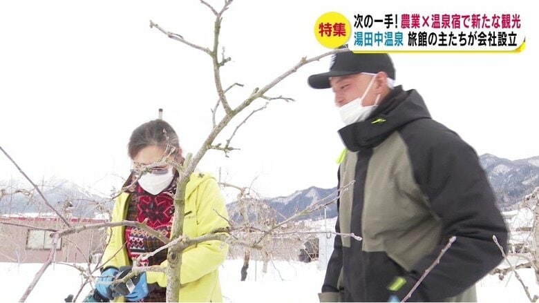 参加者がリンゴをせん定