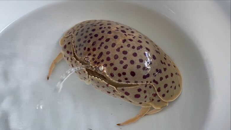 出水孔から水を出す